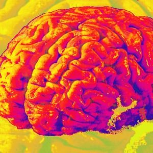 Meet your Posher, Sanjeev